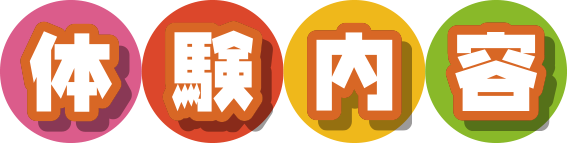 体験内容